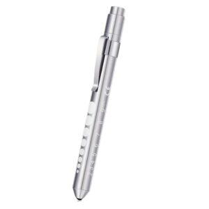 Pupil Torch (Silver)