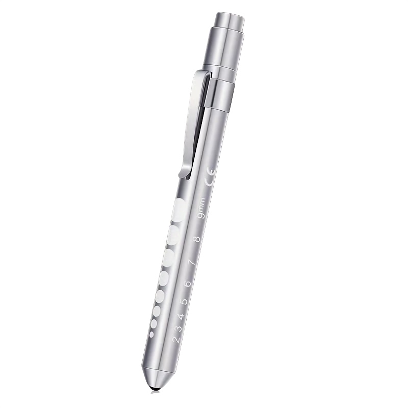 Pupil Torch (Silver)